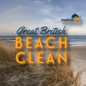 GREAT BRITISH BEACH CLEAN 2021